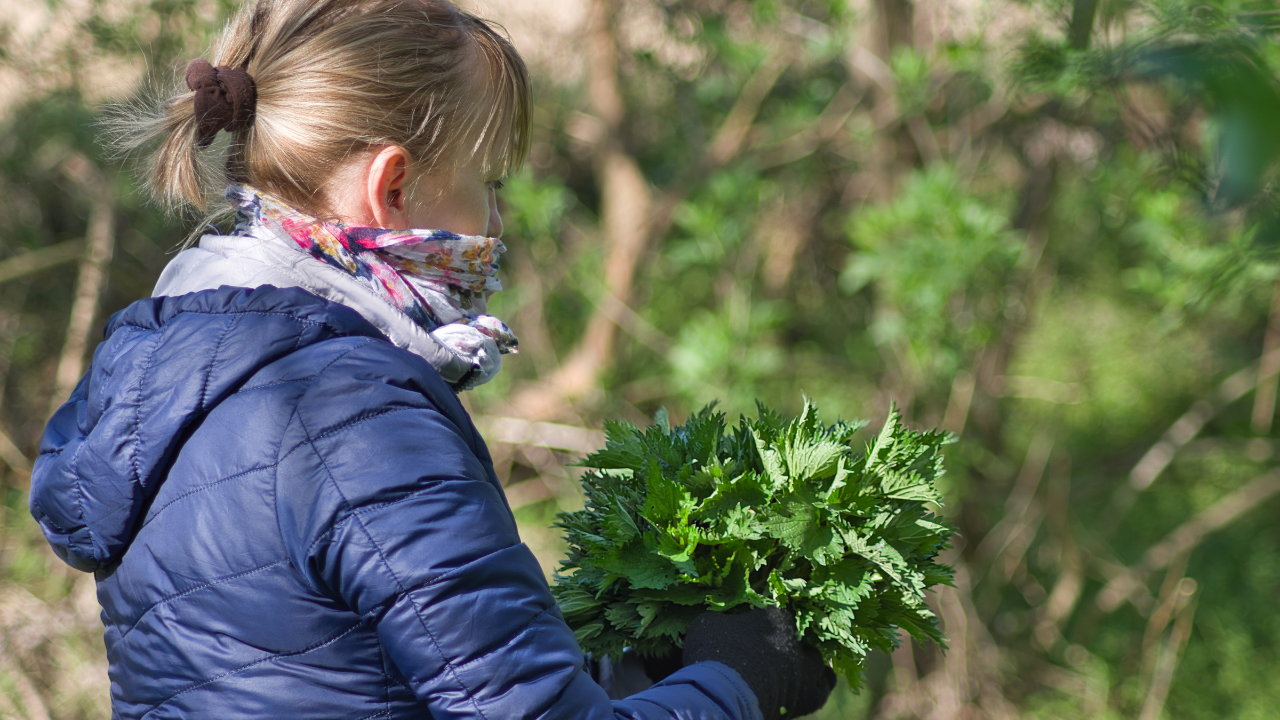 žena s nazbieranou žihľavou